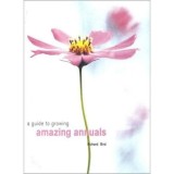 A Guide to Growing Amazing Annuals