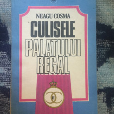 n7 CULISELE PALATULUI REGAL - NEAGU COSMA