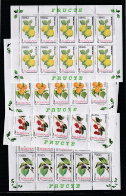 Romania 2002-Flora , Fructe,Coli mici de 10 serii,MNH foto