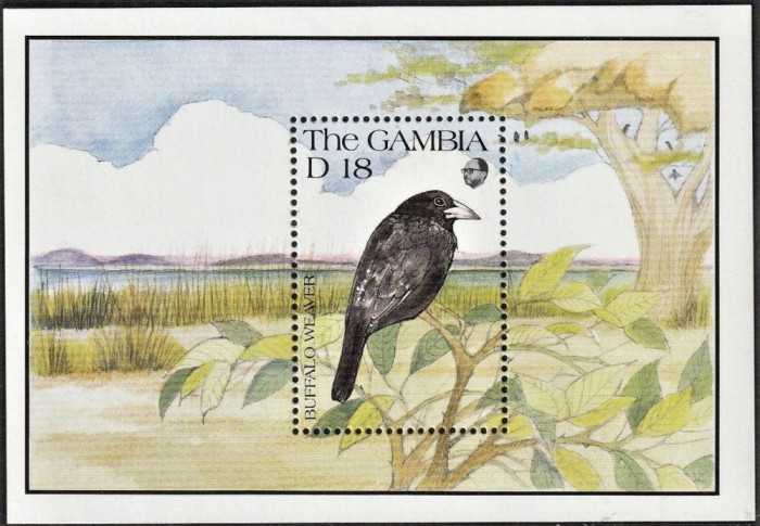 GAMBIA 1991 FAUNA PASARI