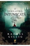 O fereastra intunecata. Seria Regele Pastor Vol.1 - Rachel Gillig