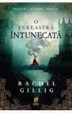 O fereastra intunecata. Seria Regele pastor Vol.1 - Rachel Gillig