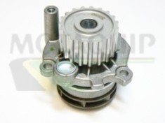 MOTAQUIP VWP775 Pompă de apă, răcire motor