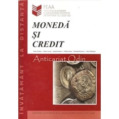 Moneda Si Credit - Vasile Turliuc, Vasile Cocris - Suport De Curs ID