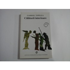 Calatorii interioare - Gabriel TEPELEA