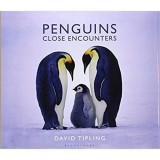 PENGUINS: CLOSE ENCOUNTERS