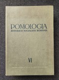 POMOLOGIA R. S. ROMANIA VI (Nucul, Alunul, Migdalul, Castanul)