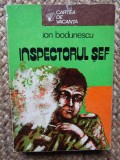 Ion Bodunescu - Inspectorul sef