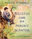 Baiatul care si-a pierdut scanteia - Editura DPH