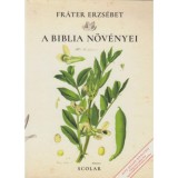 A Biblia n&ouml;v&eacute;nyei - Fr&aacute;ter Erzs&eacute;bet