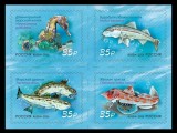 RUSIA 2026 FAUNA MARINA PESTI DIN MAREA NEAGRA
