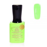 Cumpara ieftin Oja semipermanenta Premium 15 ml, 089