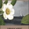 On Being Ill: With Notes from Sick Rooms by Julia Stephen