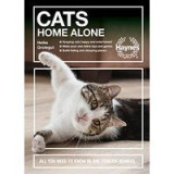 Cats Home Alone