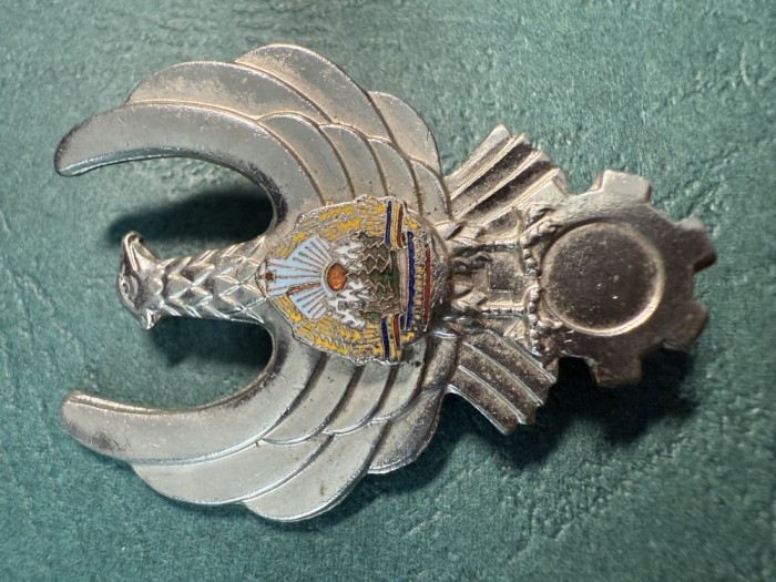 Insigna Tehnician fara clasa 1977 1989 RSR