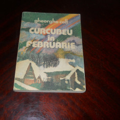 Curcubeu in Februarie- Gheorghe Colt- povestiri vanatoresti-1982