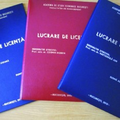 Cauti Lucrari De Licenta Informatica Economica Diverse Teme