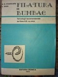 Filatura de bumbac N.N.Cojocaru,C.Sava