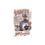 Juiced: Wild Times, Rampant 'Roids, Smash Hits, and How Baseball Got Big