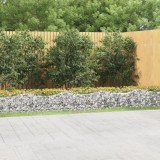 VidaXL Strat &icirc;nălțat cu gabion arcuit, 800x50x50 cm, fier galvanizat