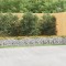 Gossi strat inaltat cu gabion arcuit, 600x100x50 cm, fier galvanizat