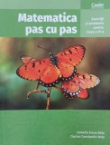 Matematica pas cu pas. Exercitii si probleme pentru clasa a VI-a - Camelia Elena Neta, Ciprian Constantin Neta