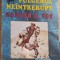 FULGERUL NEINTRERUPT-NORMAN A. FOX-253602