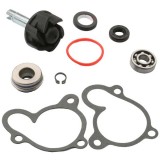Cumpara ieftin Kit Reparatie Pompa Apa ATV Linhai 250 260 275 300 310 320 400 410 420 Scuter Aprilia Benelli Italjet Malaguti MBK Yamaha