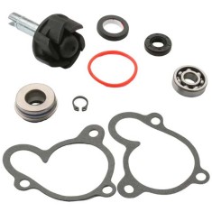 Kit reparatie pompa apa atv LINHAI 250 260