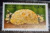 ANDORA franceza 2003 păsări găină serie 1v neștampilat, Nestampilat