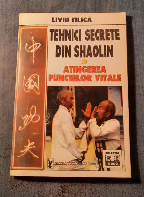 Tehnici secrete din shaolin atingerea punctelor vitale Liviu Tilica foto