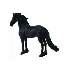 Armasar Friesian - Collecta