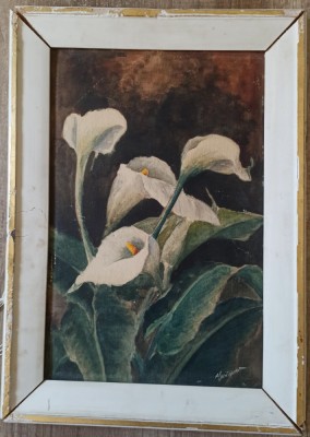 Crini Calla// acuarela Angiolina Santocono foto