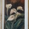 Crini Calla// acuarela Angiolina Santocono