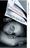 Promisiunea/Damon Galgut