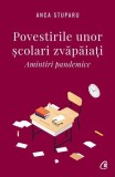 Povestirile unor scolari zvapaiti carte Anca Stuparu paperback brosat amintiri copilarie curtea veche