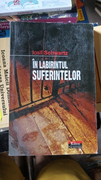 In Labirintul Suferintelor