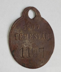 Medalion canin vechi Temesvar 1907, din metal, Timisoara Banat, placuta canina foto