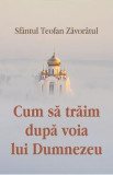 Cum sa traim dupa voia lui Dumnezeu - Sfantul Teofan Zavoratul