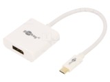 Adaptor USB C la DisplayPort 0.2m Alb
