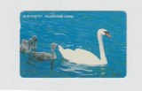 bnk card Cartele telefonice - Coreea de Sud - fauna - pasari - Swan (Letter J) - Col:O9407118 (J)