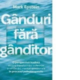 Ganduri fara ganditor. O perspectiva budista asupra transformarii suferintei si vindecarii mental-emotionale in procesul psihoterapeutic - Iustina Coj