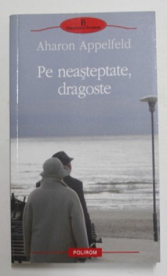 PE NEASTEPTATE , DRAGOSTE de AHARON APPELFIELD , 2010 foto
