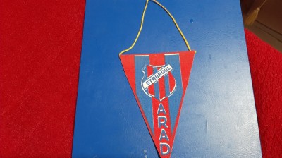 fanion Strungul Arad foto