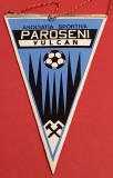 Fanion fotbal - AS PAROSENI VULCAN