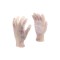 Manusi pt gradinarit flori 8 Flo 74128