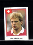 B10 - Sticker fotbal - Campionatul mondial USA - 1994 - nr 32