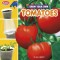 Grow Your Own Tomatoes