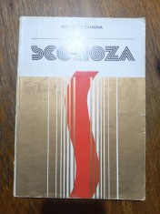 Scolioza, Clinica, terapie, recuperare - Corneliu Zaharia / R8P4S