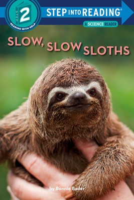 Slow, Slow Sloths foto